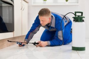 Cockroach removal in Kalamazoo MI