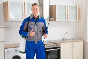 Mice Exterminator For All Properties In Kalamazoo MI